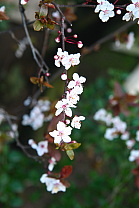 img_0542.jpg
