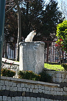 img_0543.jpg
