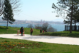 img_0568.jpg