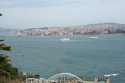 img_0607.jpg