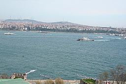 img_0608.jpg
