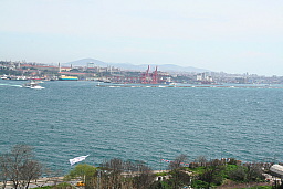 img_0609.jpg