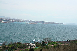 img_0610.jpg