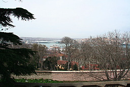 img_0618.jpg
