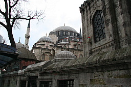 img_0636.jpg