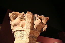 img_0825.jpg