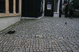 img_0841.jpg