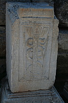 img_1000.jpg