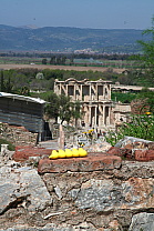 img_1009.jpg