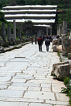 img_1070.jpg