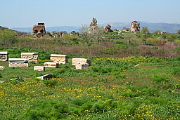 img_1079.jpg