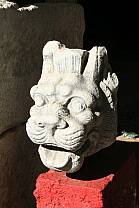 img_1121.jpg