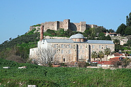 img_1181.jpg
