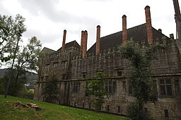 img_4595.jpg
