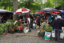 img_4665.jpg