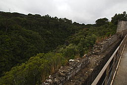 img_4751.jpg