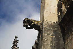 img_5037.jpg