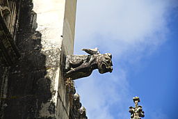 img_5058.jpg