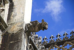 img_5070.jpg