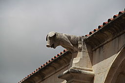 img_5406.jpg