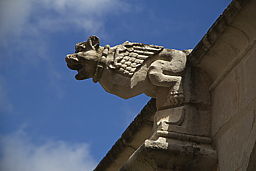 img_5415.jpg