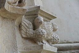 img_5419.jpg