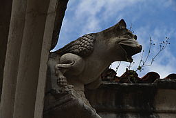img_5424.jpg