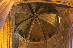img_6478.jpg