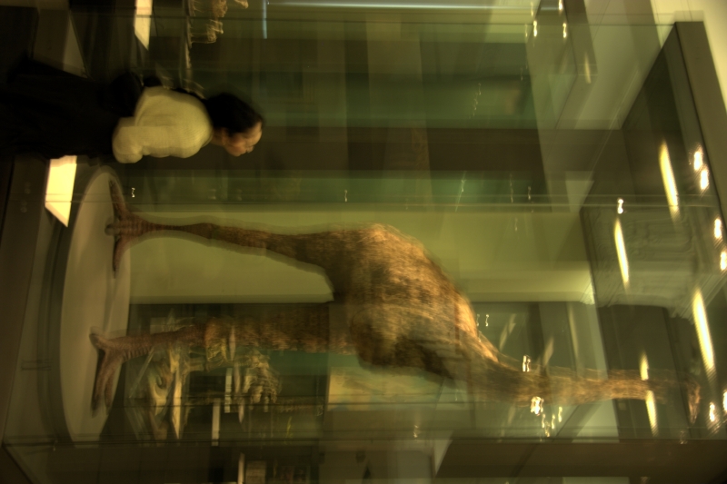 crw_3397.jpg