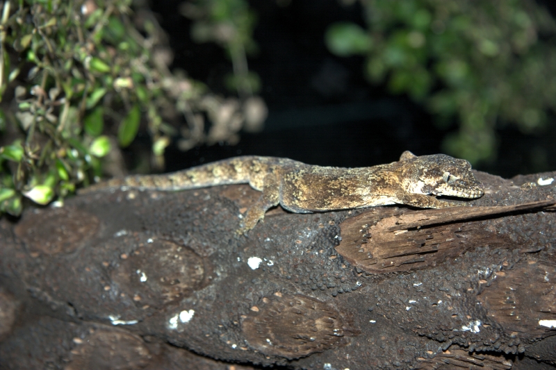 crw_3401.jpg