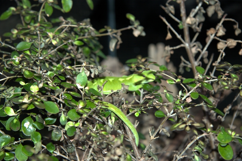 crw_3402.jpg