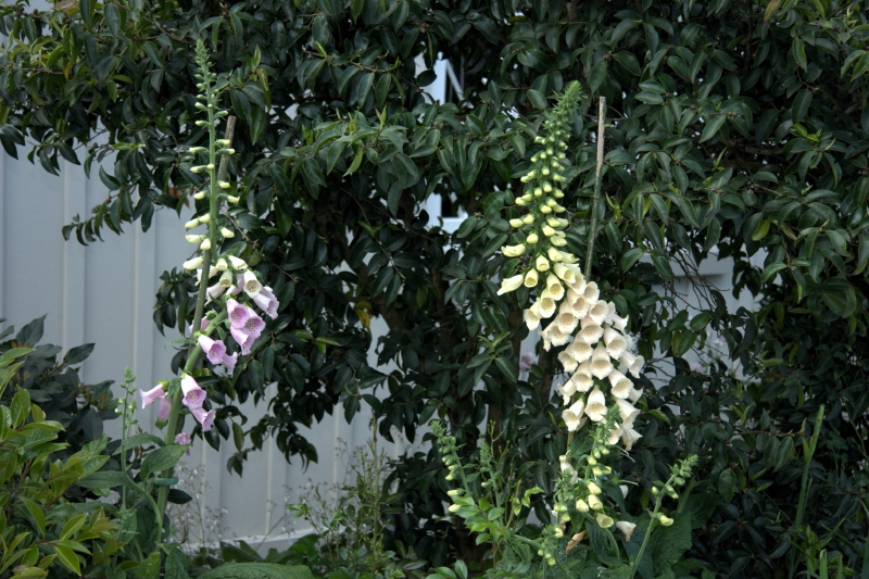 crw_3405.jpg