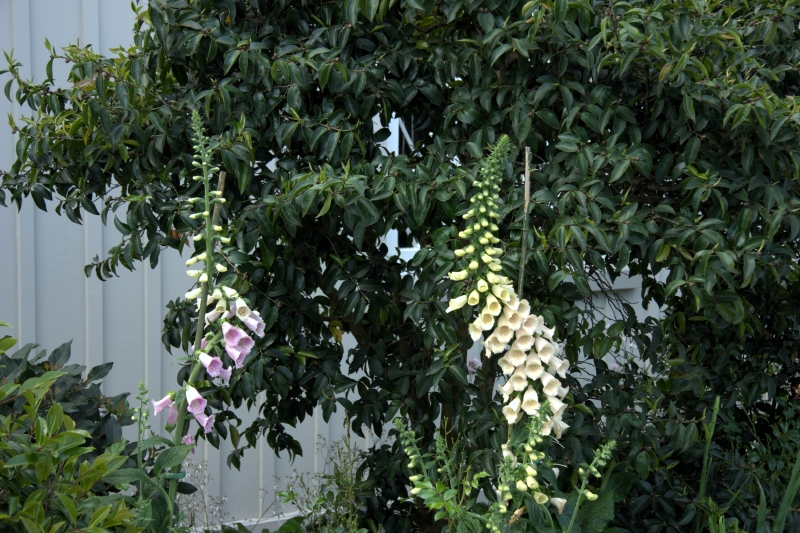 crw_3406.jpg