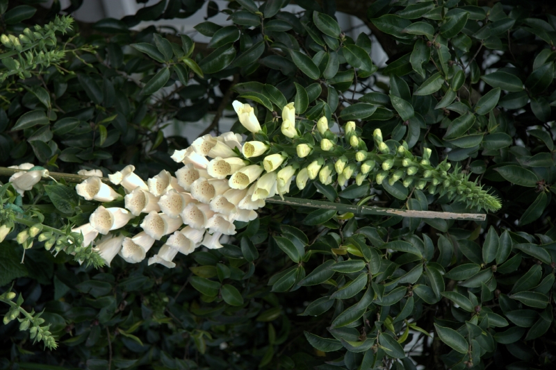 crw_3407.jpg