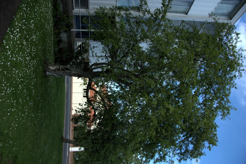 crw_3411.jpg
