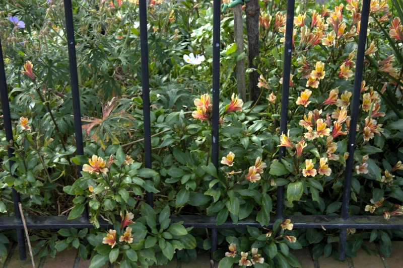 crw_3412.jpg