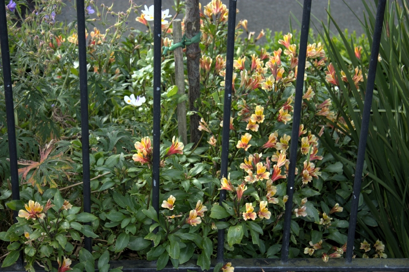 crw_3413.jpg