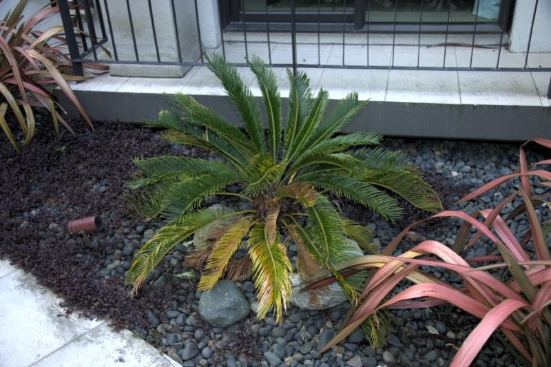 crw_3418.jpg