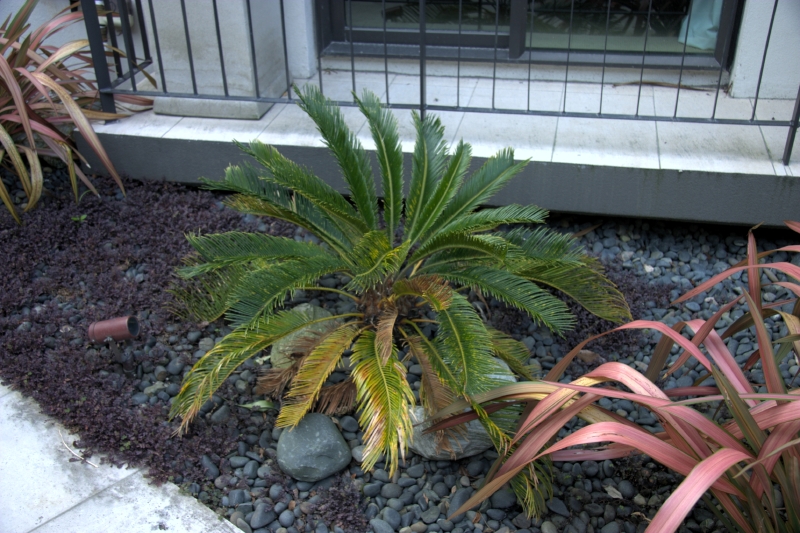 crw_3419.jpg