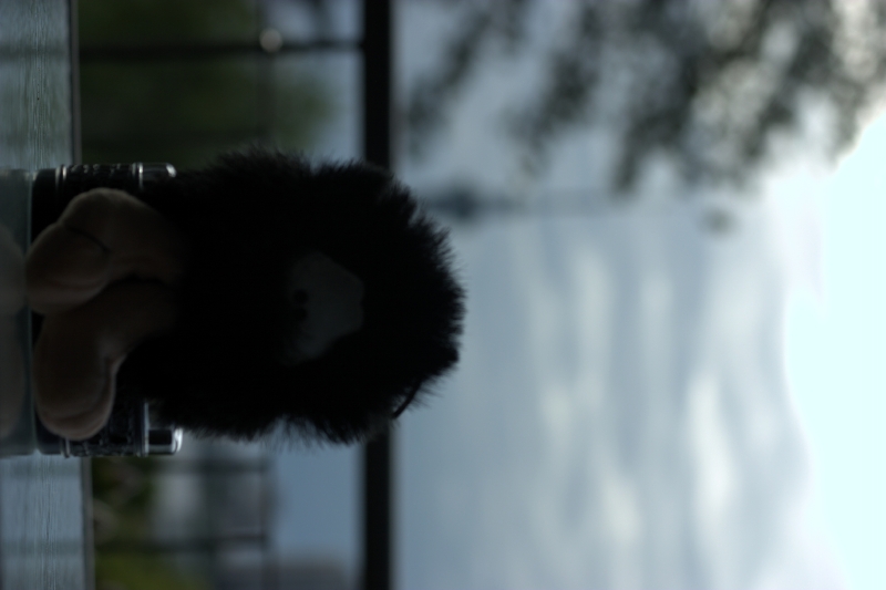 crw_3421.jpg