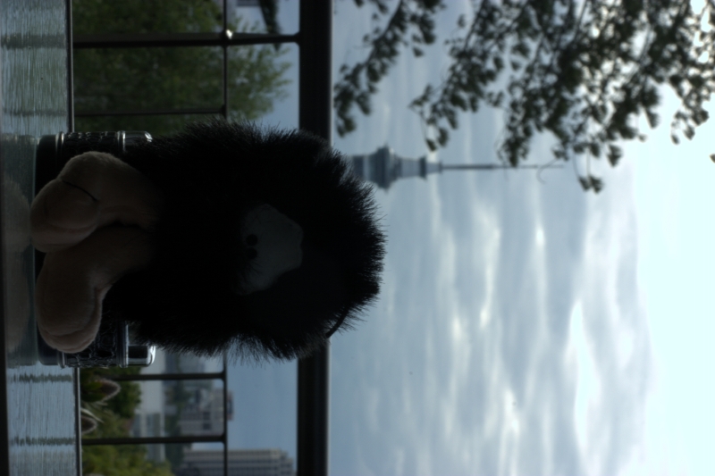crw_3422.jpg
