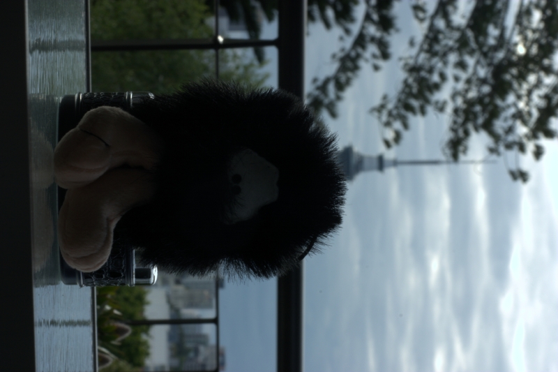 crw_3424.jpg