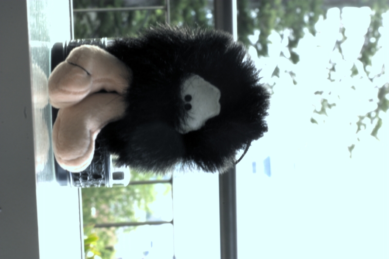 crw_3426.jpg