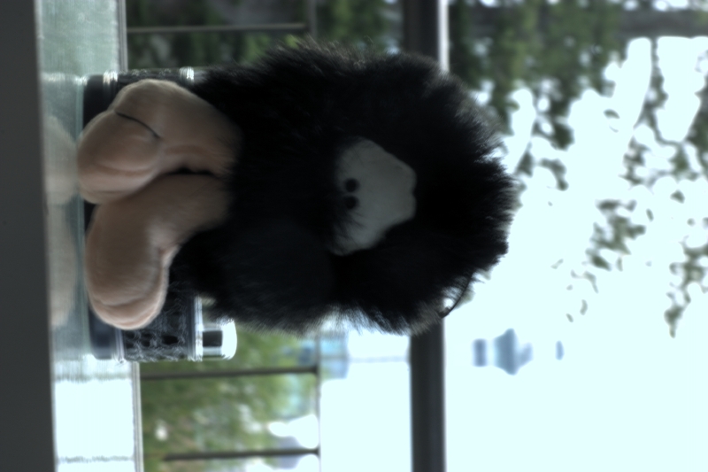 crw_3428.jpg