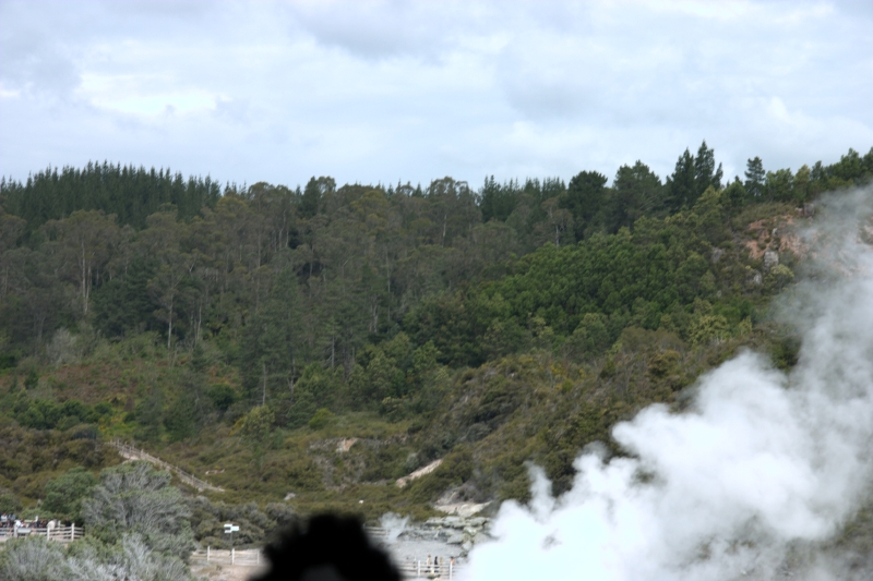 crw_3436.jpg