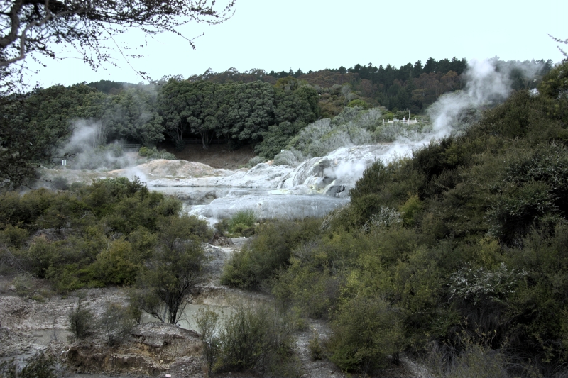 crw_3443.jpg