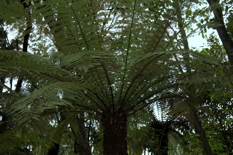 crw_3452.jpg