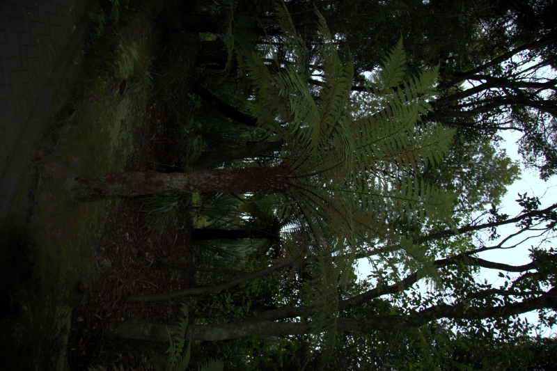 crw_3453.jpg