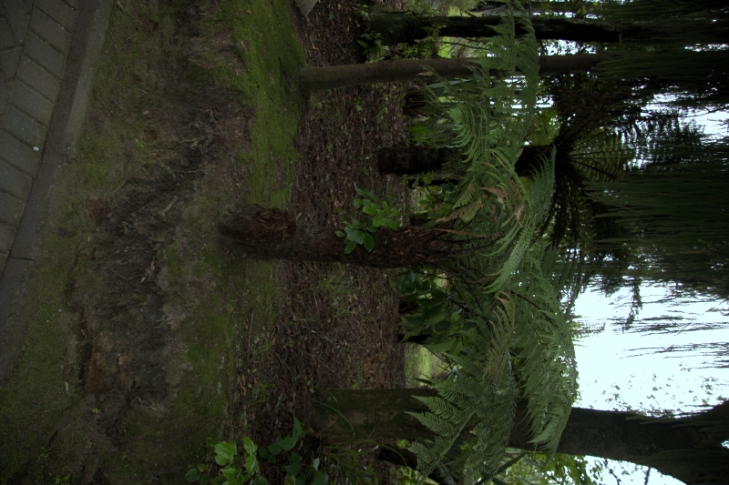 crw_3454.jpg