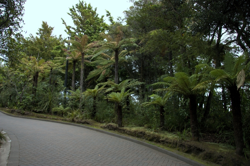 crw_3455.jpg